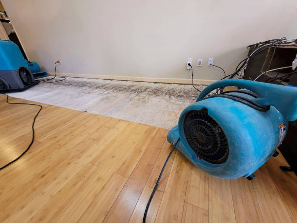 Professional Burst Pipe Water Damage technician working in New Straitsville, OH